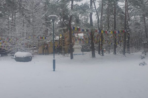 narnia